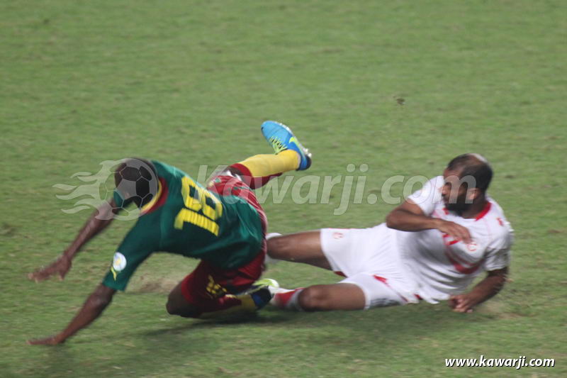 [Elimin. CM 2014] Tunisie - Cameroun 0-0