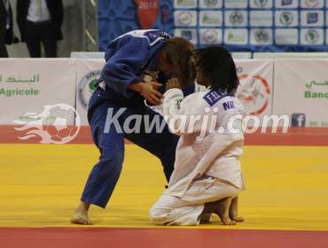 Championnats d'Afrique de Judo