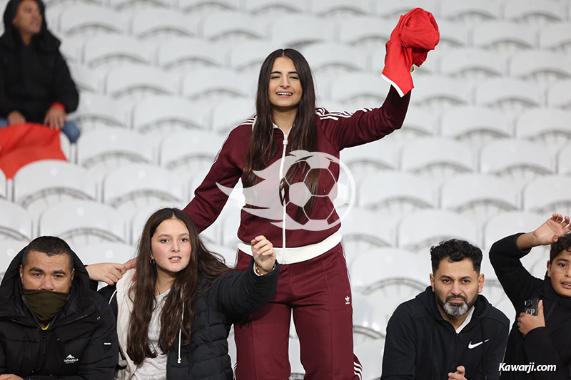 Amical : Tunisie - Brésil