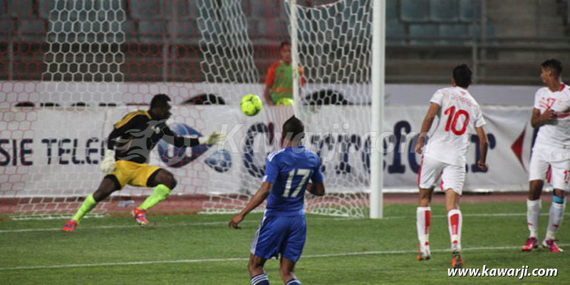 Elimin. CM 2014 : Tunisie - Sierra Leone 2-1