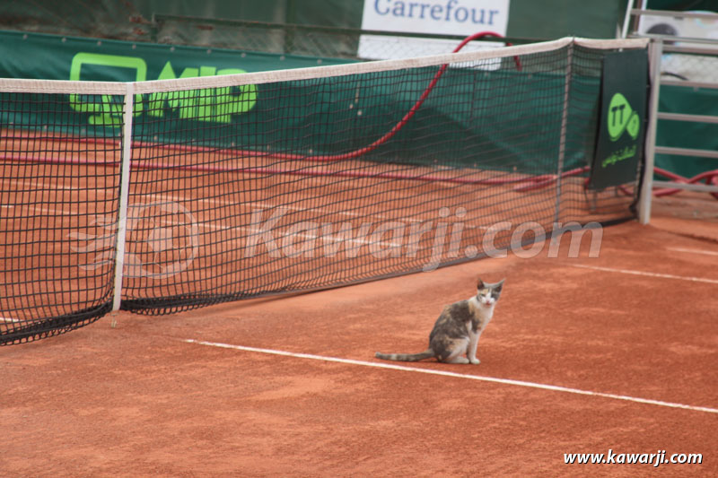 Finale Open de Tunis 2013
