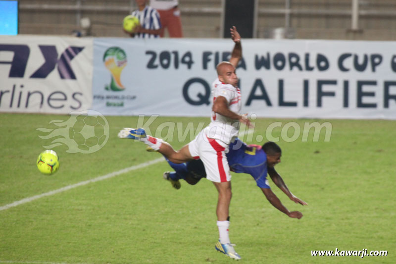 [Elimin. CM 2014 ] Tunisie - Cap Vert 0-2