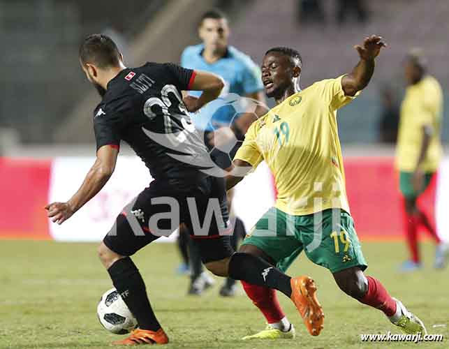 [Amical] Tunisie - Cameroun 0-0