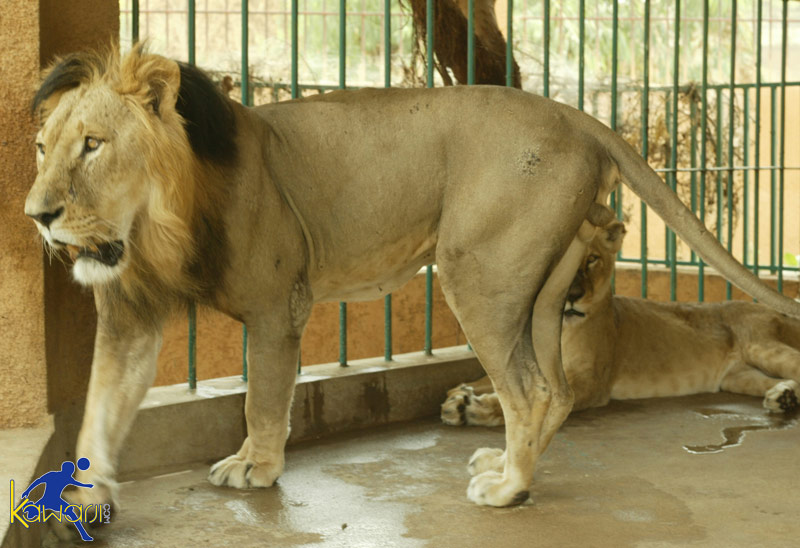 [LC] AS FNIS - CSS 1-3 Partie 1