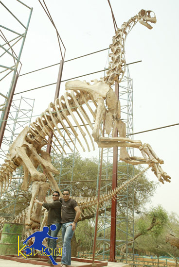 [LC] AS FNIS - CSS 1-3 Partie 1