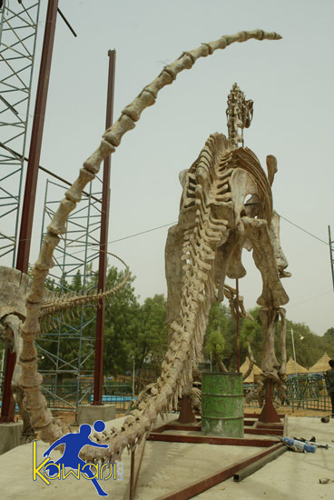 [LC] AS FNIS - CSS 1-3 Partie 1